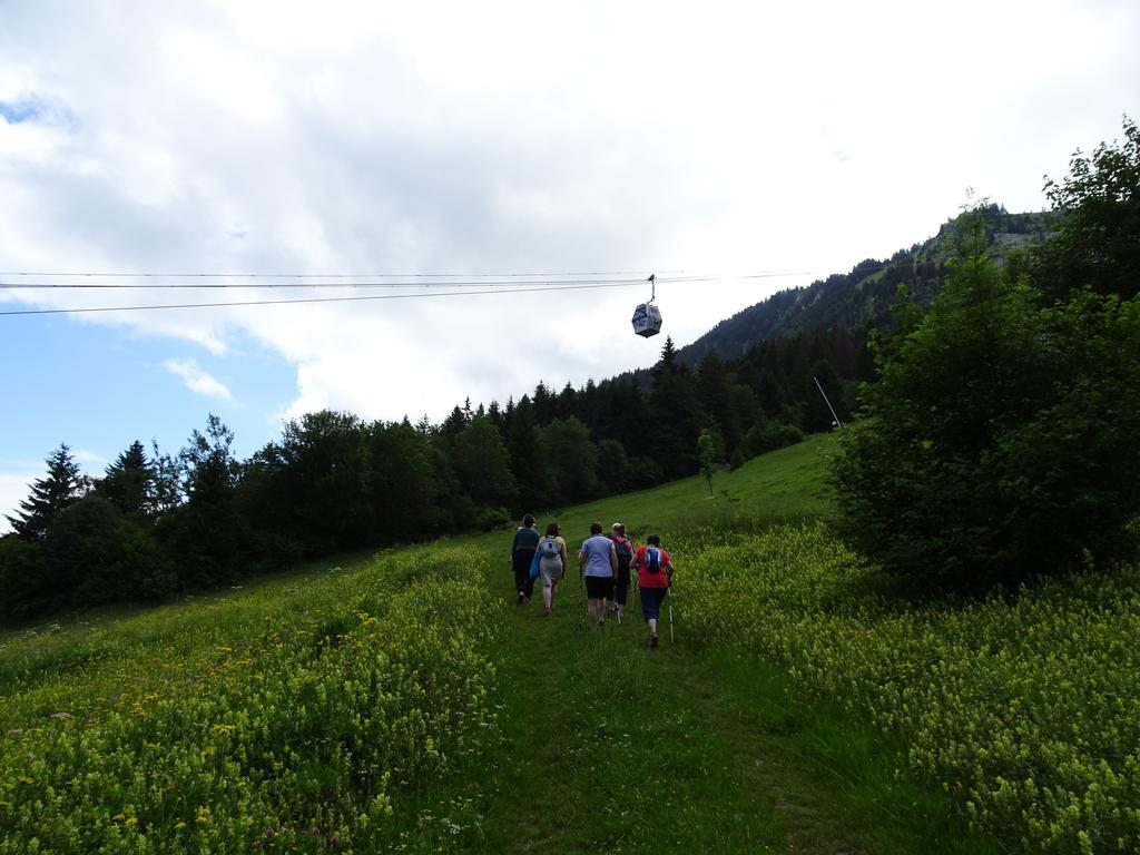 Les Balcons Du Leman Bed & Breakfast Thollon-les-Memises Dış mekan fotoğraf
